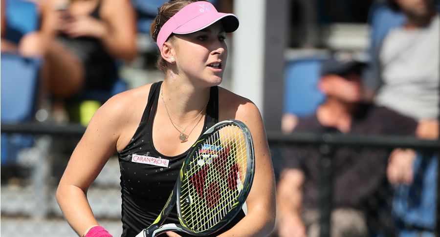 文化的塑造 文化的塑造